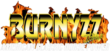 Burnyzz Logo